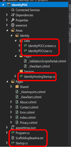 Project structure after the Identity Scaffolding is run